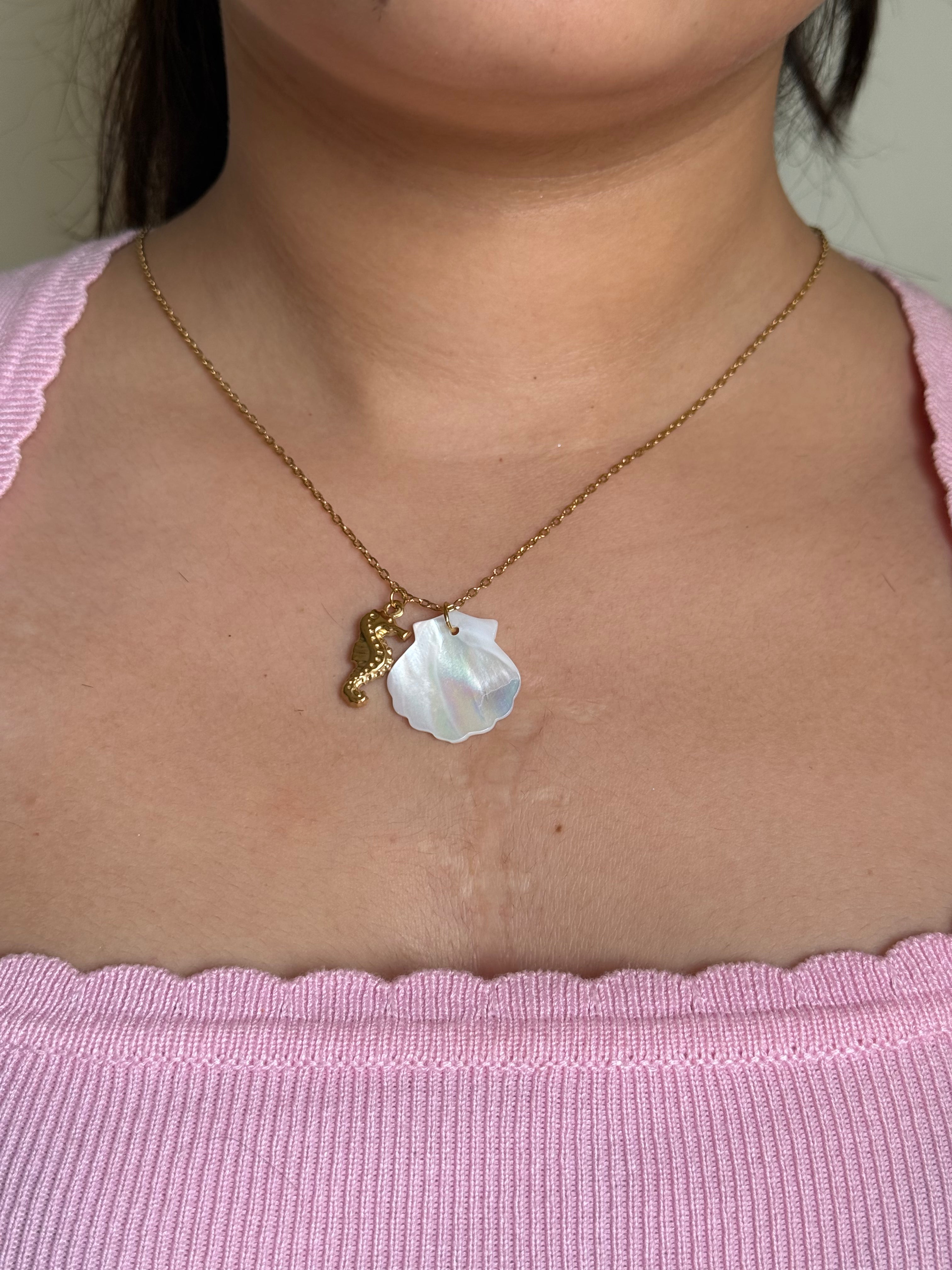 Horse shell Cham Necklace